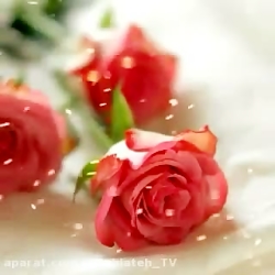 کلیپ عاشقانه برای وضعیت واتساپ