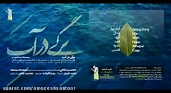 آلبوم &laquo;برگی در آب&raquo; منتشر شد/ همنوازی سنتور و تنبک. محسن غلامی