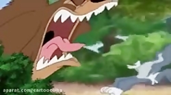 کارتون تام و جری | خانه جادوگر