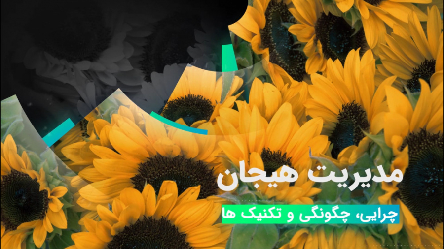 مدیریت هیجان - کنترل و مدیریت استرس