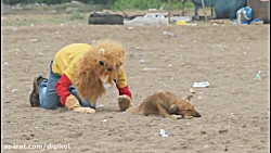کلیپ خنده دار از ترساندن حیوان...