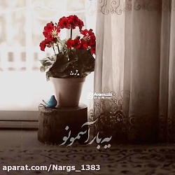 کلیپ غمگین خواننده محسن چاوشی