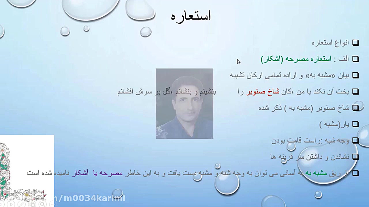 استعاره RNA Interference Assay