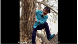 پریسا پوربلک طنز جدید / پریسا...