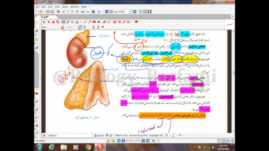 تدریس زیست یازدهم - غده فوق کلیه جواد عزتی