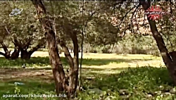 رشته کوه زاگرس کجاست؟