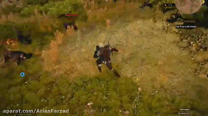 توضیحات گیم پلی بازی witcher 3. دکتر محمد حسین رضوانی