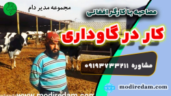 صحبت با یک کارگر افغانی مشغول در گاوداری - مشاوره در واتساپ 3211 373 0919