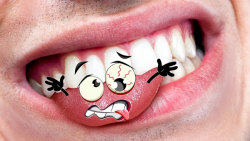 دودل ها همیشه با شما هستند و ب...