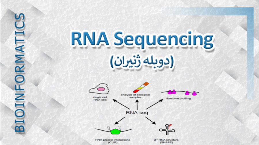 آموزش RNA seq در بیوانفورماتیک لاکپشت رقصان