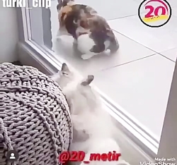 دوبله ی ترکی