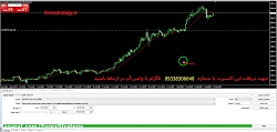 ربات اتومات فارکس با سود باورن...