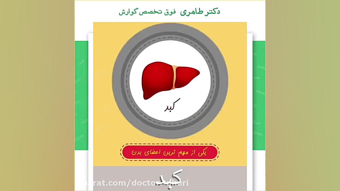 کبد با بیماری هپاتیت چه ارتباطی دارد؟ لیپوست