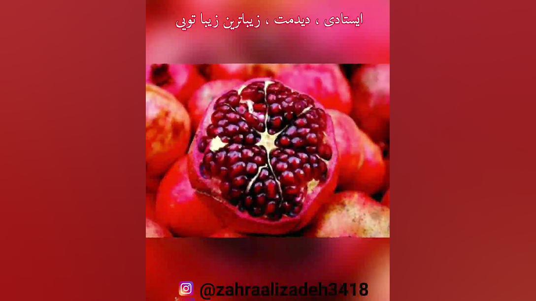 موزیک ویدئوی زیبا و متفاوت شب یلدا و روز پرستار زهرا علیزاده