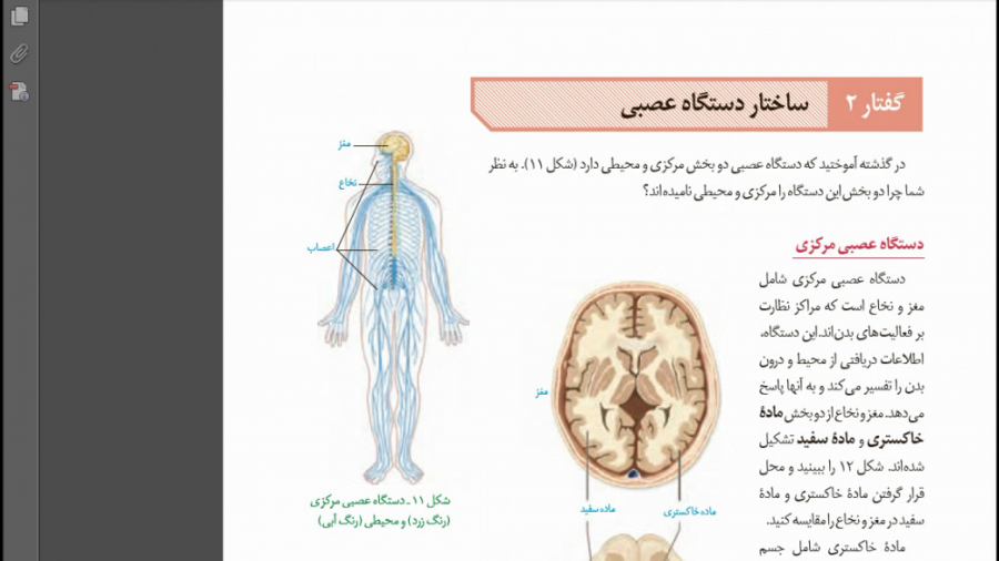 فصل 1 - گفتار 2 ساختار دستگاه عصبی - زیست شناسی یازدهم لیفت ابرو