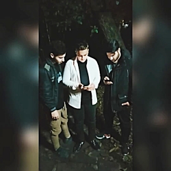 مهدی دارک کینگ