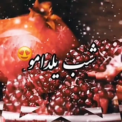 کلیپ شب یلدا  یلدا مبارک  کلیپ...