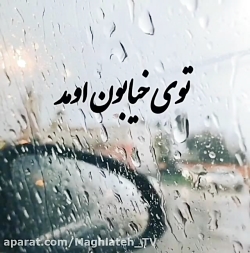 آهنگ شاخه گل من نیومد  کلیپ عا...