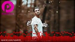 اهنگ جدید شاهین میری - عشق ناب...