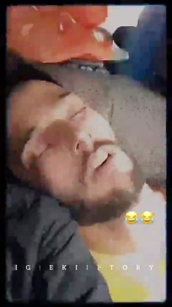 گنجشک لالا ممدرضا