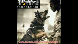 دمبوره جدید اورجینال کیفیت بسی...