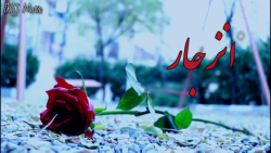 فیلم کوتاه انزجار