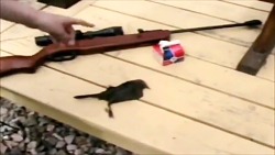 شکارتوسط سلاح بادی-4