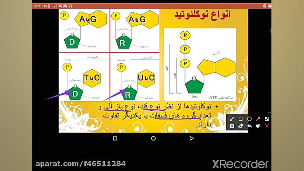 ساختار اسیدهای نوکلئیک Blood Gas