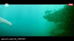 فیلم سینمایی سفر به آمازون با...