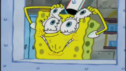 باب اسفنجی(برگ تازه)