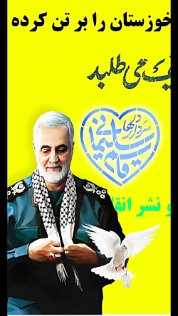 استوری / سالگرد شهادت سردار سل...
