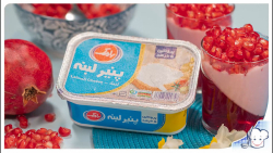 نمونه ویدیو رسپی به زبان کردی...