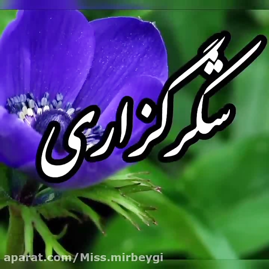 شکرگزاری......خدایا شکرت......