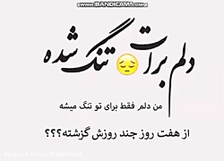 دلم برات تنگ شده عشقم