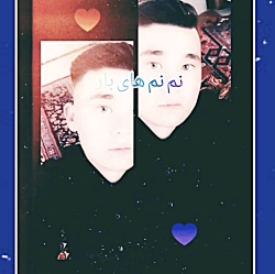 اهنگ شاخه گل من نیومد