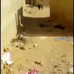 دعای حاج قاسم سلیمانی