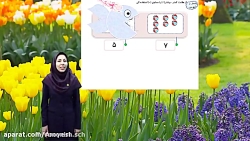 دبستان رویش _ ریاضی اول