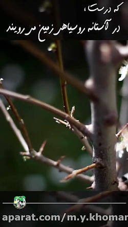 مدافعین سلامت سبز قامت