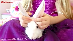 برنامه کودک دیانا و روما داستا...