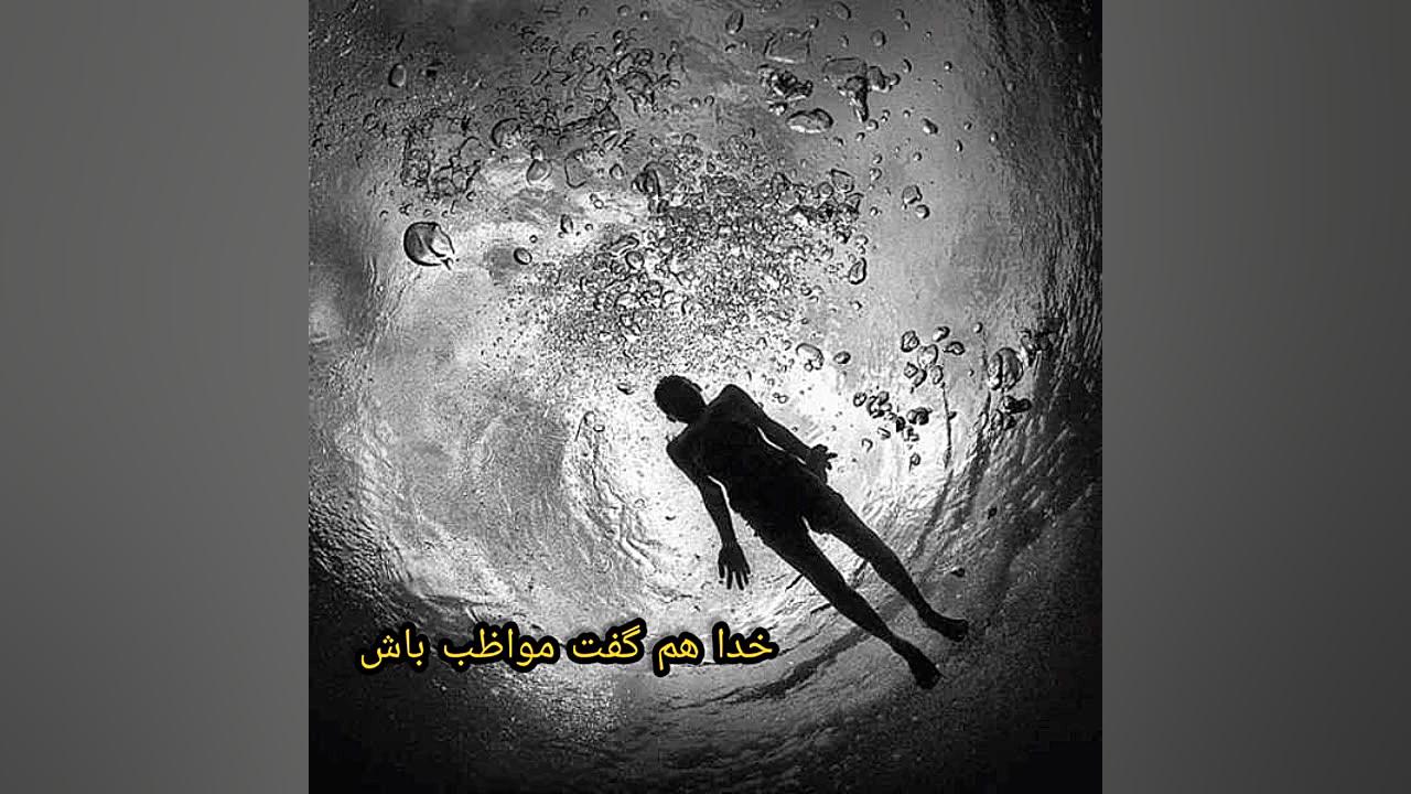 مهراد هیدن و ویلسون سیاه جواد رضویان
