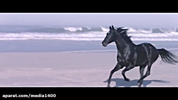 فیلم Black Beauty 2020 زیبای س...