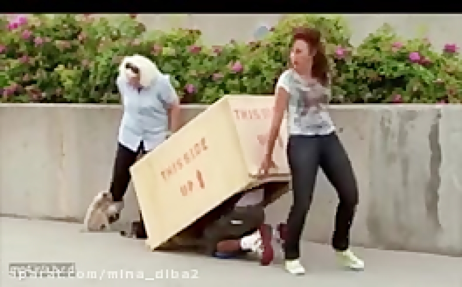 دوربین مخفی  شوخی با گربه