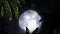 مداحی از حاج مهدی رسولی بمناسب...