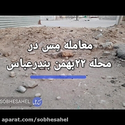معامله مس در محله ی ۲۲ بهمن بندرعباس