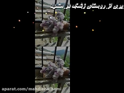 روستای زشک در مشهد مقدس