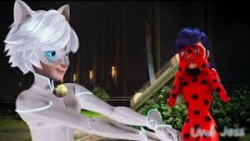 لیدی باگ و کت نوار