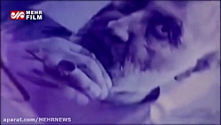 قاسم سلیمانی