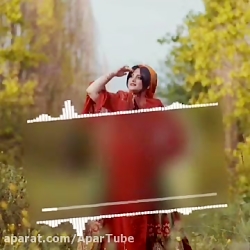 موزیک ویدیو لری - کار زیبای سج...