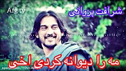 آهنگ افغانی زیبا شرافت پروانی...