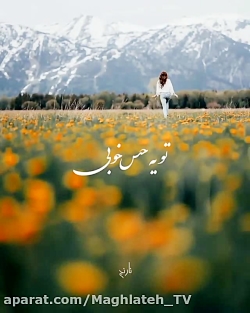 تکست کلیپ عاشقانه/ آهنگ زیبای...